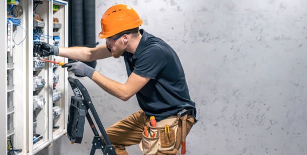 Best Generator Installation Services  in Lake Shore, MN